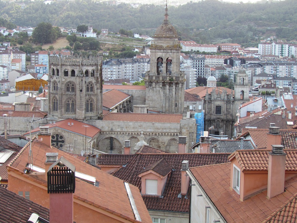 Control de plagas en Ourense